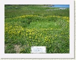 Views 2 over site of Norse Village * 2592 x 1944 * (3.15MB)